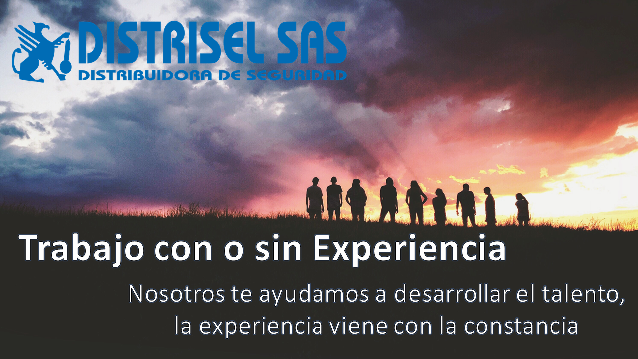 EXPERIENCIA.png